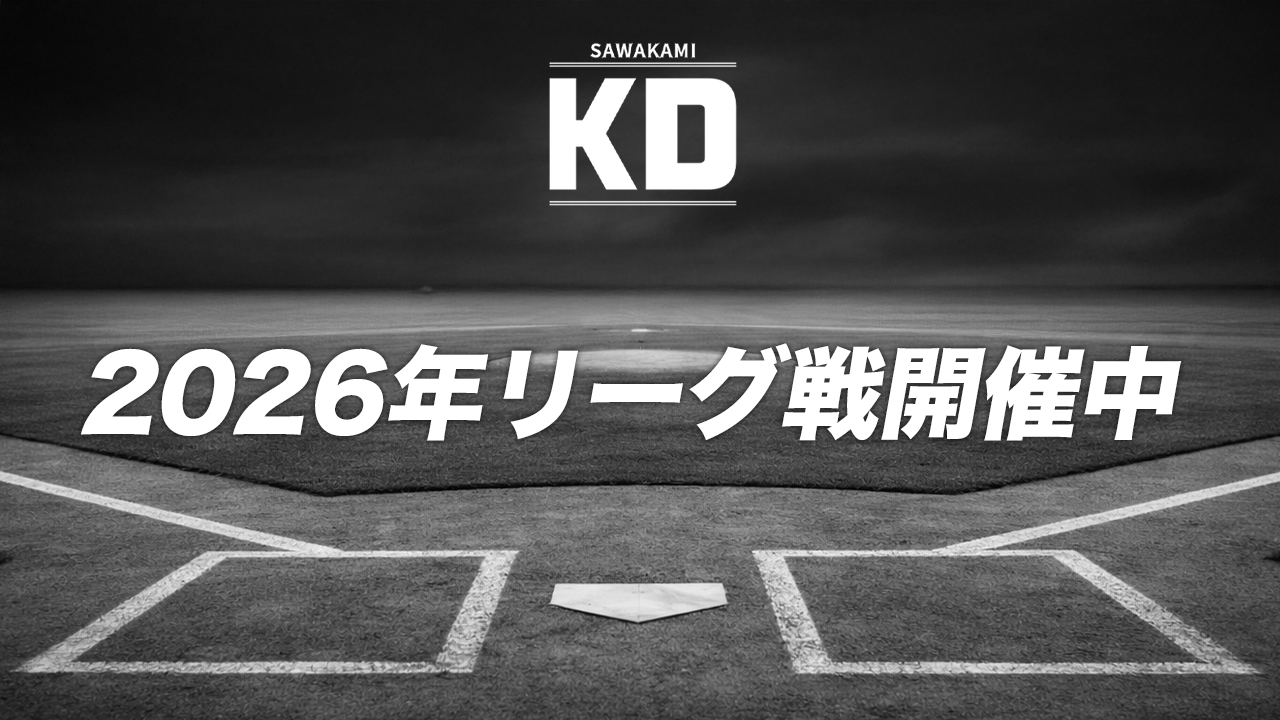 独立リーグ？SAWAKAMI KD 9球セット 【公式通販】
